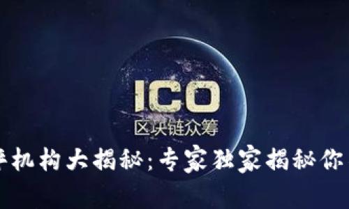 区块链人才测评机构大揭秘：专家独家揭秘你不可不知的秘诀