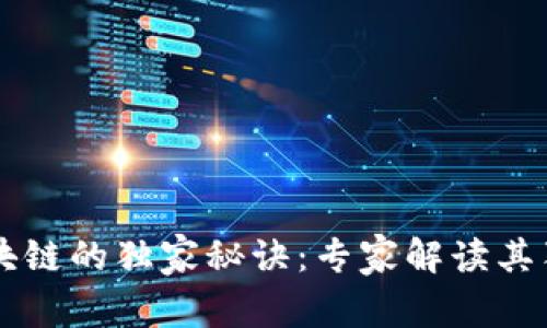 小蚁区块链的独家秘诀：专家解读其独特特色