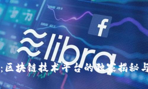 专家解读：区块链技术平台的独家揭秘与分类秘诀