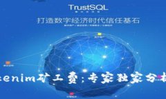 揭秘Tokenim矿工费：专家独