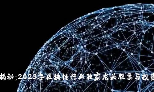 专家揭秘：2023年区块链行业独家龙头股票与投资秘诀