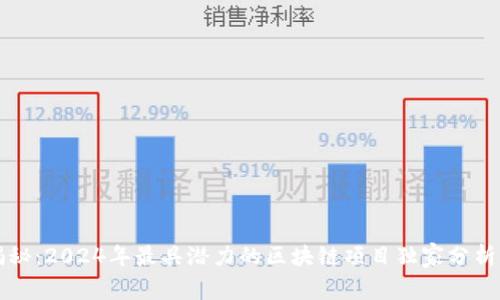 专家揭秘：2024年最具潜力的区块链项目独家分析与秘诀