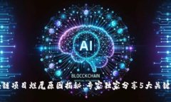 区块链项目烂尾原因揭秘