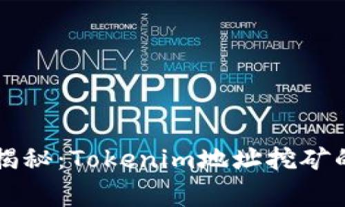 专家独家揭秘：Tokenim地址挖矿的成功秘诀