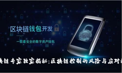区块链专家独家揭秘：区块链控制的风险与应对秘诀