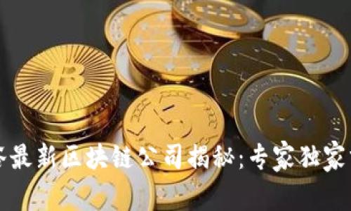 光谷最新区块链公司揭秘：专家独家分享