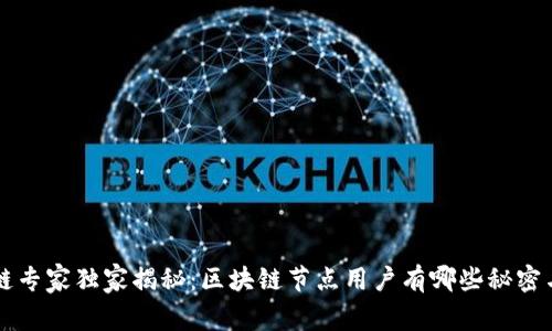区块链专家独家揭秘：区块链节点用户有哪些秘密与秘诀