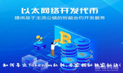 如何导出Tokenim私钥：专家揭秘独家秘诀！