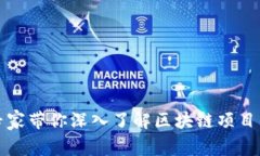 独家揭秘：专家带你深入