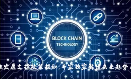 区块链发展支撑政策揭秘：专家独家解读未来趋势与机遇