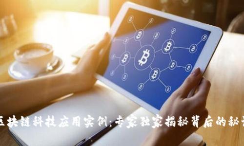 区块链科技应用实例：专家独家揭秘背后的秘诀