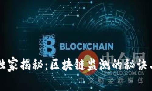 专家独家揭秘：区块链监测的秘诀与技巧