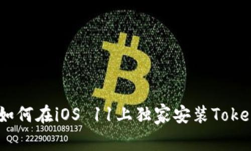 专家揭秘：如何在iOS 11上独家安装TokenIM的秘诀