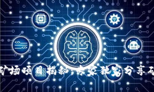 深圳区块链矿场项目揭秘：专家独家分享矿业成功秘诀