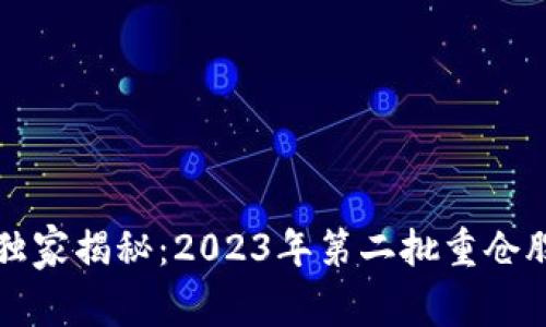 区块链投资专家独家揭秘：2023年第二批重仓股名单与投资秘诀