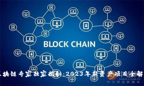区块链专家独家揭秘：2023年新资产项目全解析