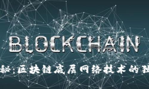 专家揭秘：区块链底层网络技术的独家秘诀