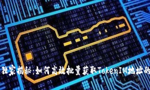 专家独家揭秘：如何高效批量获取TokenIM地址的秘诀