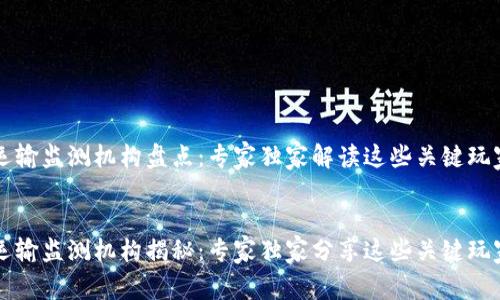 区块链运输监测机构盘点：专家独家解读这些关键玩家的秘诀


区块链运输监测机构揭秘：专家独家分享这些关键玩家的秘诀