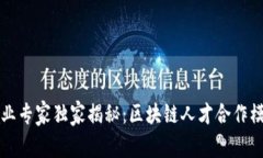 区块链行业专家独家揭秘
