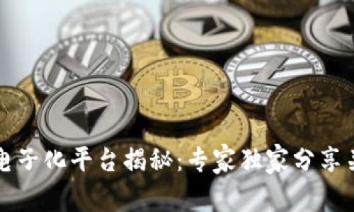 区块链电子化平台揭秘：专家独家分享关键秘诀