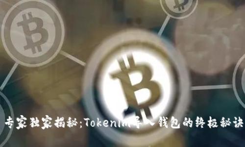 专家独家揭秘：Tokenim导入钱包的终极秘诀