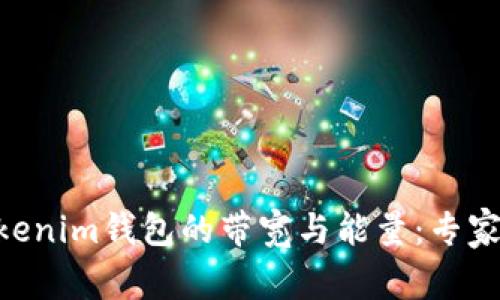 揭秘Tokentokenim钱包的带宽与能量：专家独家秘诀解析