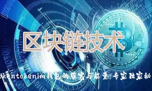 揭秘Tokentokenim钱包的带宽与能量：专家独家秘诀解析