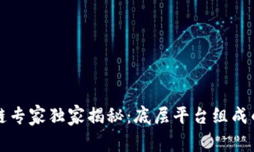 区块链专家独家揭秘：底层平台组成的秘诀