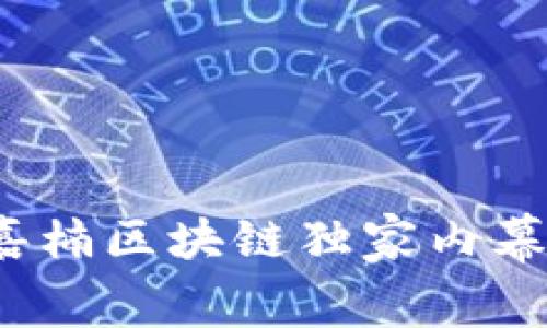 专家揭秘：嘉楠区块链独家内幕与发展秘诀