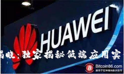 区块链专家揭晓：独家揭秘低端应用实例的五大秘诀