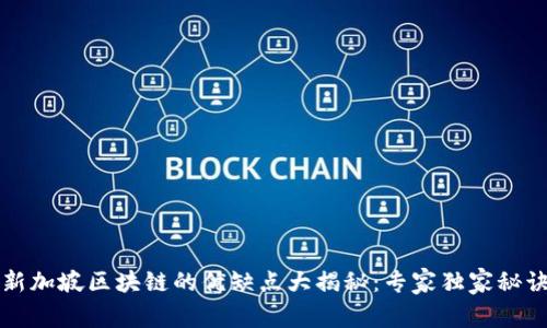 新加坡区块链的优缺点大揭秘：专家独家秘诀