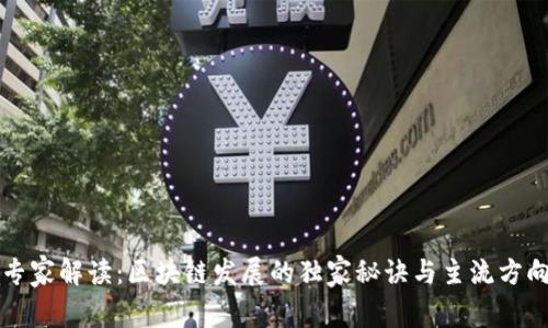 专家解读：区块链发展的独家秘诀与主流方向
