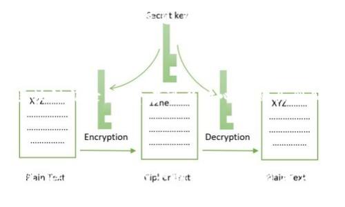 区块链技术在食品行业的应用正逐渐受到重视。通过利用区块链的透明性和不可篡改性，供应链管理、食品溯源等方面得到了极大的提升。以下是一些区块链技术在食物领域的应用实例，帮助您更好地了解这一创新技术。

### 1. 食品溯源

区块链可以有效地记录食品从农场到餐桌的每一个环节。消费者可以通过扫描食品包装上的二维码，追踪该食品的来源、加工流程和运输路径。这种透明度不仅增强了消费者的信任感，还能有效提高食品安全。

### 2. 农产品交易

借助区块链技术，农民可以直接与消费者进行交易，减少中间环节。这种方法不仅有助于提高农民的收入，也让消费者获得了更加新鲜和有保障的食品。例如，一些平台允许消费者直接从农场购买有机蔬菜和水果。

### 3. 食品安全监测

区块链还可以帮助食品企业监测和管理食品安全。通过实时更新数据，企业能够及时发现潜在的食品安全隐患，并快速作出反应，以减少食品召回带来的损失。

### 4. 供应链管理

区块链能够提高供应链的效率和透明度。通过将每一环节的数据上传到区块链，所有参与者可以实时查看信息，避免信息不对称的问题。这对大型食品企业尤其重要，因为它们的供应链通常非常复杂。

### 5. 食品认证

使用区块链可以为食品的有机认证、非转基因标签等提供强有力的支持。通过不可篡改的区块链记录，消费者可以放心地购买到符合他们需求的食品。

### 结论

区块链技术的引入，将推动食品行业的透明化、可信度和效率提升。虽然目前仍处于发展阶段，但随着技术的不断成熟和消费者认知的提高，未来区块链在食品行业的应用前景十分广阔。