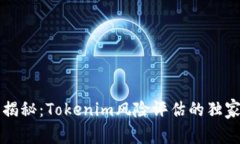 专家揭秘：Tokenim风险评估
