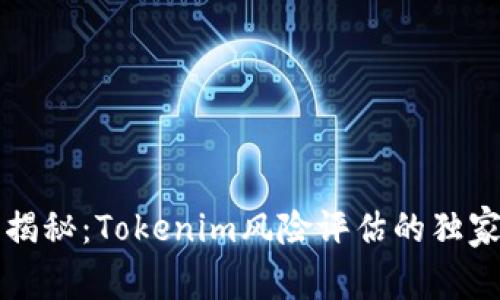 专家揭秘：Tokenim风险评估的独家秘诀