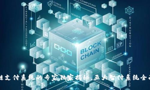 区块链支付系统的专家独家揭秘，五大智付系统全面解析
