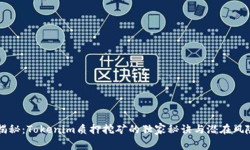 专家揭秘：Tokenim质押挖矿的独家秘诀与潜在风险分析