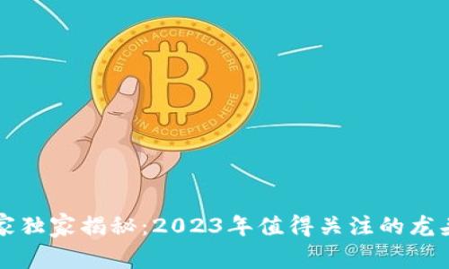 区块链专家独家揭秘：2023年值得关注的龙头股票秘诀