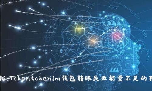 专家揭秘：Tokentokenim钱包转账失败能量不足的独家秘诀
