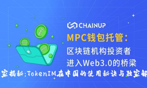 专家揭秘：TokenIM在中国的使用秘诀与独家解析
