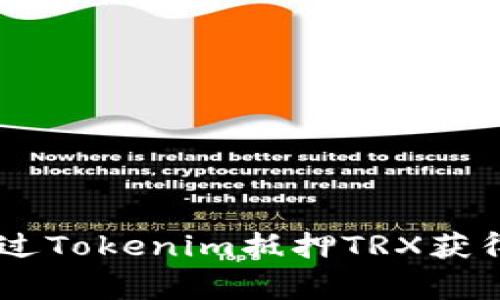 专家揭秘：如何通过Tokenim抵押TRX获得USDJ的独家秘诀