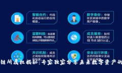 区块链所属权揭秘：专家