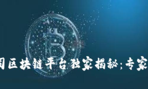 2023年初创公司区块链平台独家揭秘：专家分享的成功秘诀