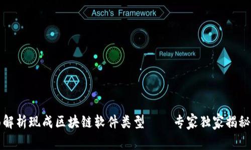 全面解析现成区块链软件类型——专家独家揭秘秘密