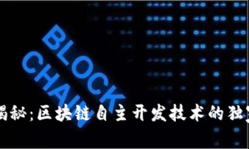 专家揭秘：区块链自主开发技术的独家秘诀
