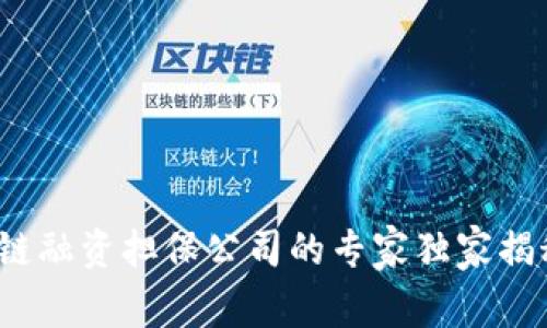 2023年区块链融资担保公司的专家独家揭秘与秘诀分享