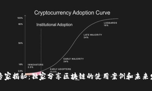 区块链专家揭秘：独家分享区块链的使用案例和未来发展秘诀