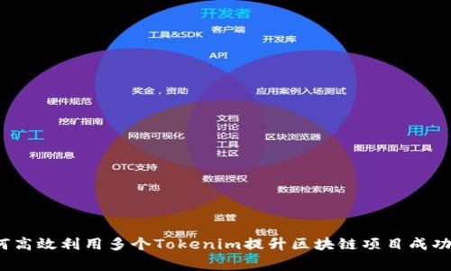 专家揭秘：如何高效利用多个Tokenim提升区块链项目成功率的独家秘诀
