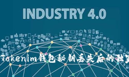 专家揭秘：Tokenim钱包秘钥丢失后的独家救赎秘诀